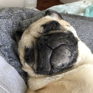 Fundraising Page: Jenny Reed